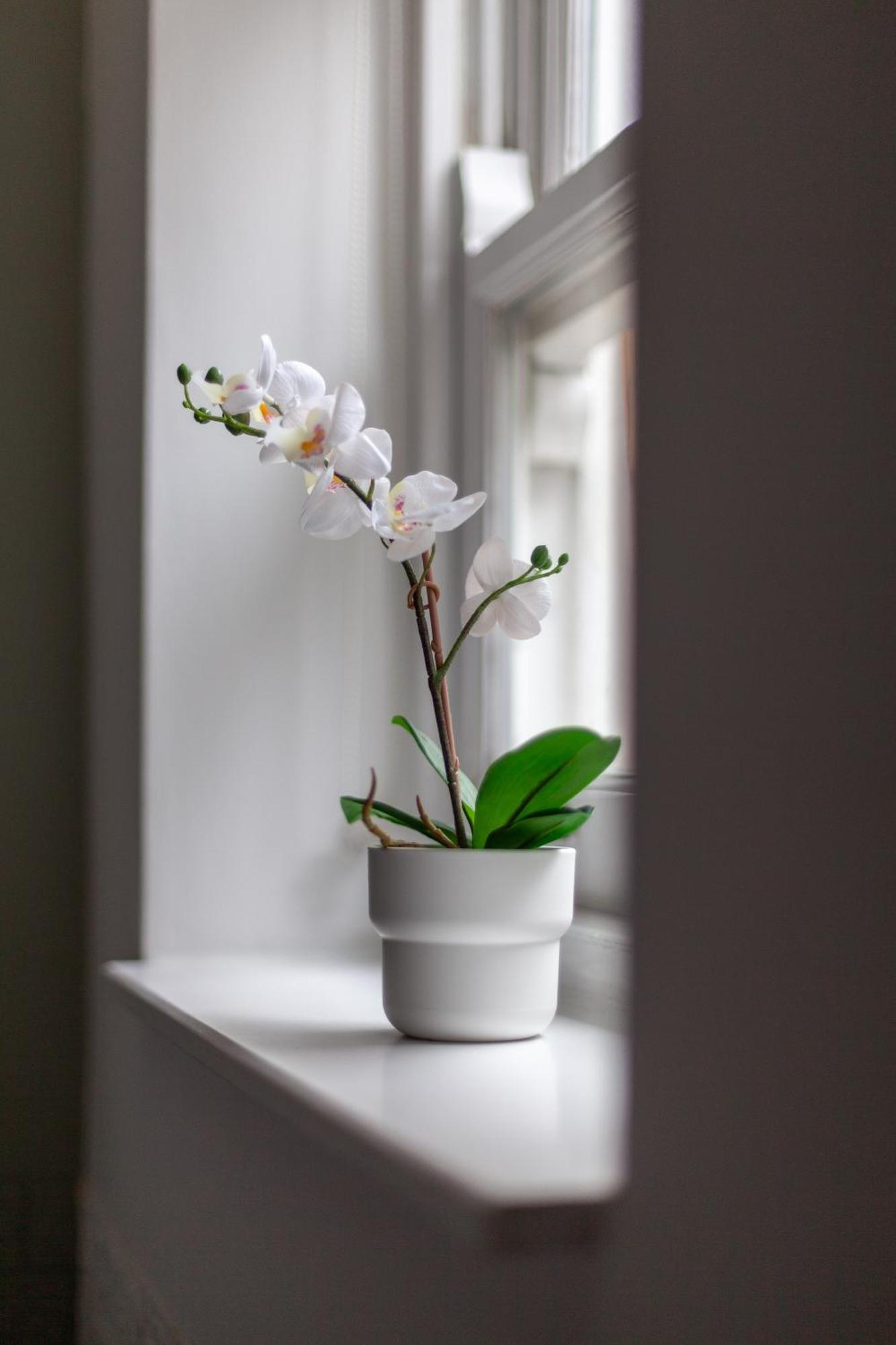 The Hackney Luxury Flat Apartman London Kültér fotó